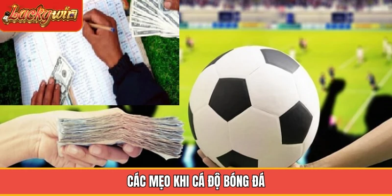 Các mẹo khi cá độ bóng đá Các mẹo khi cá độ bóng đá